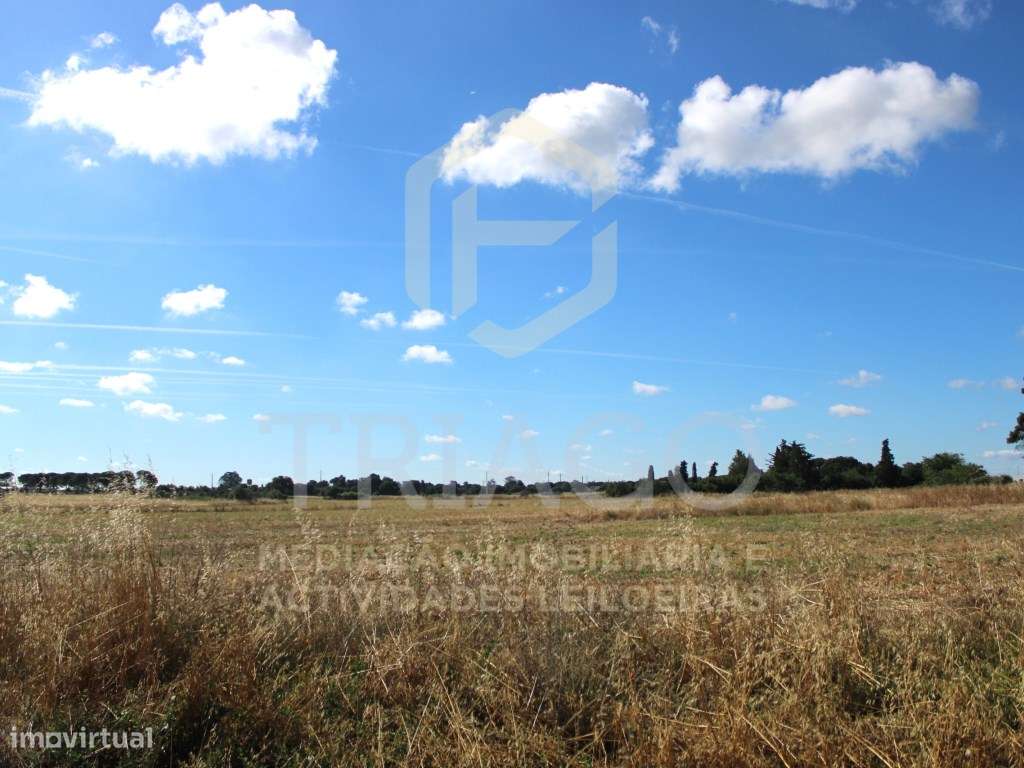 Terreno Rústico com 48.400 m2 - Grande imagem: 2/7