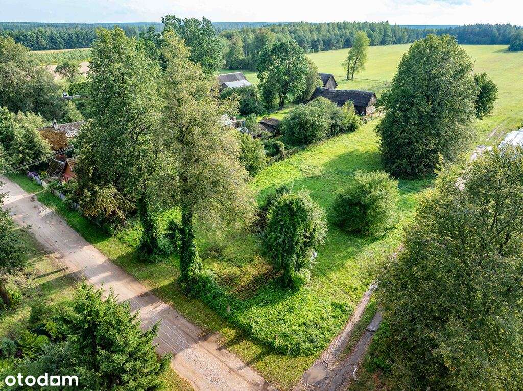 Działka w okolicy Krynek, Ostrów Południowy-3