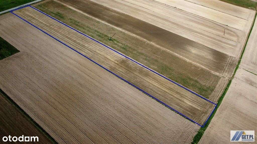 Duża działka budowlano-rolna - Pełny obrazek: 5/5