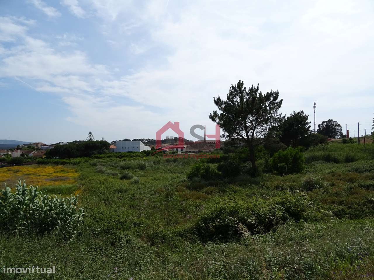 *Terreno Totalmente Urbanizável 7000 m2 – OUTEIRO da CABEÇA* - Grande imagem: 5/12