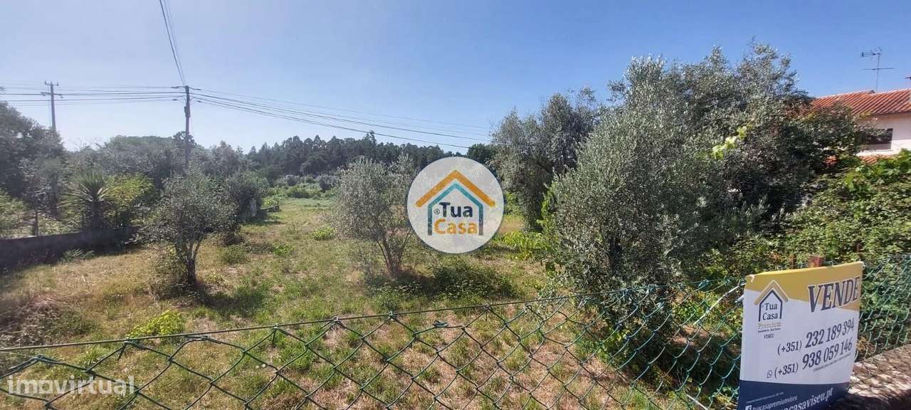 Terreno Rústico para Construção em Tondela - Grande imagem: 5/19