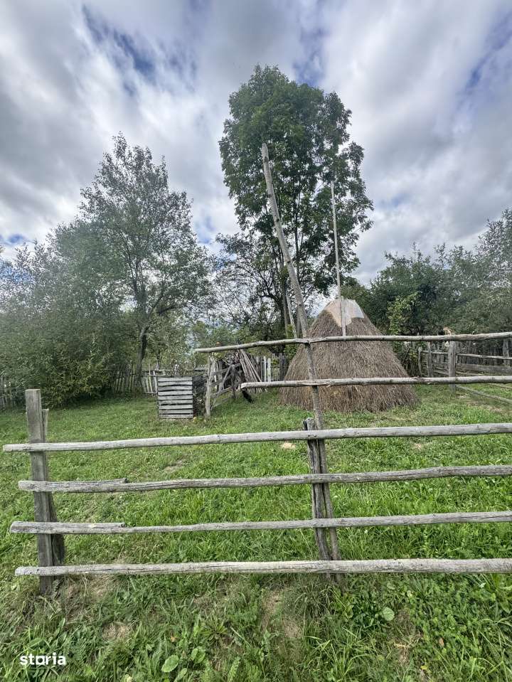 6.605 mp de natura pura – refugiu, afacere sau investitie in Candest-6