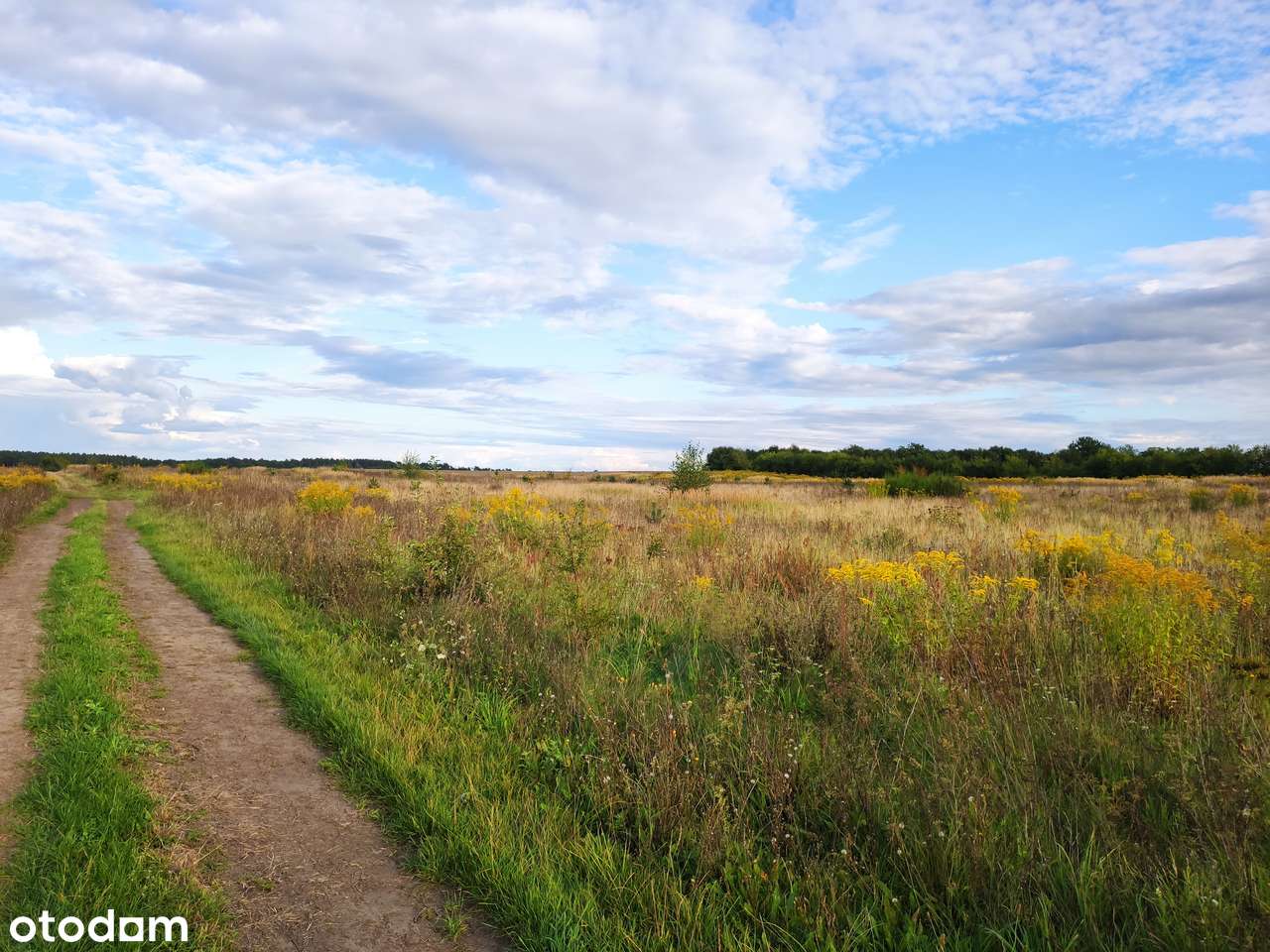 Janczewo 2095 m², DRUGA LINIA ZABUDOWY, BRAK HAŁASU ULICY.-1
