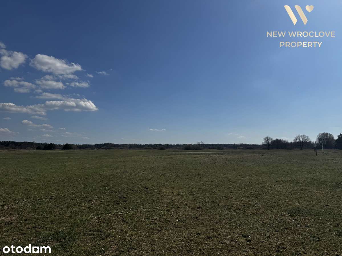 Duża działka rolna, Śmiechowice, negocjacja - Pełny obrazek: 5/5