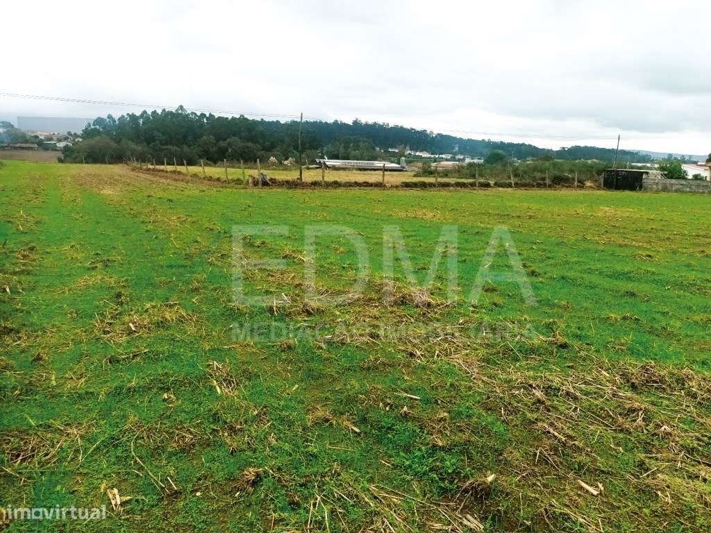 Terreno para Construção em Landim - V.N. de Famalicão (PIP em Aprov... - Grande imagem: 4/11