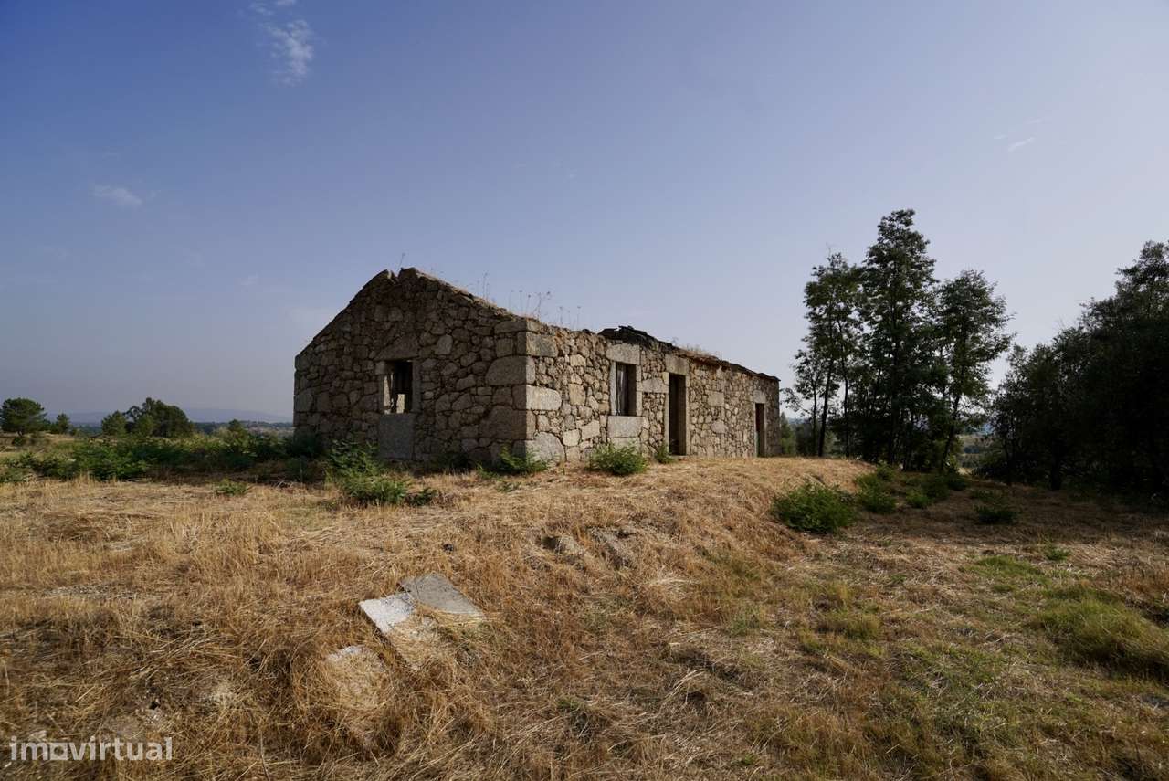 Quinta para venda com casa de habitação para recuperar - Grande imagem: 4/45