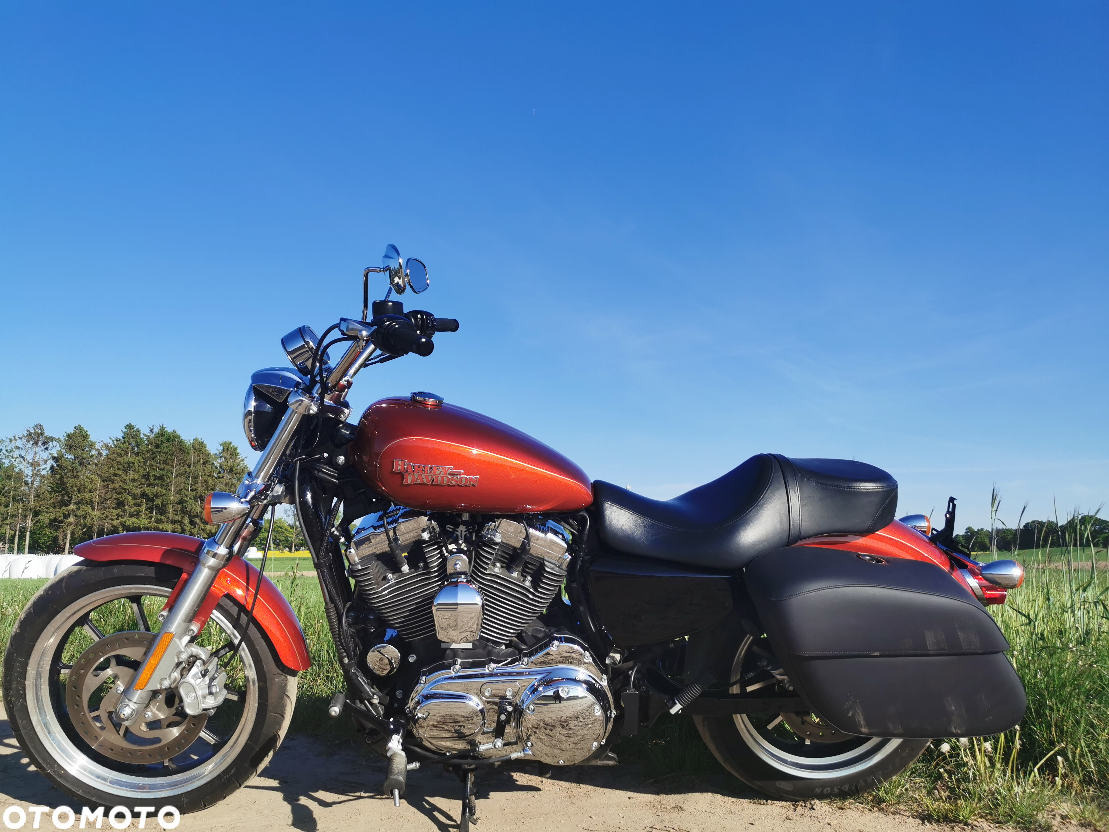 Harley-Davidson Sportster Custom 1200C - 3
