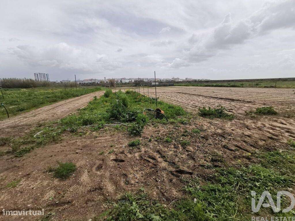 Casa / Villa T2 em Montenegro de 60,00 m2 - Grande imagem: 4/6