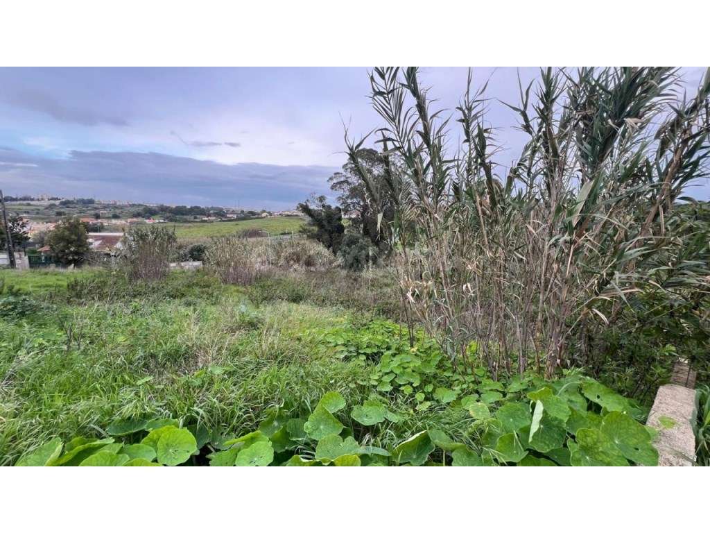 Terreno urbano para construção moradia isolada a 5 min das praias d... - Grande imagem: 5/12