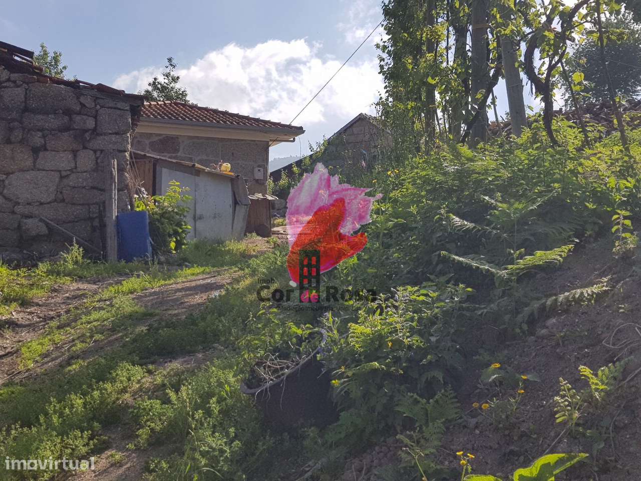 Quinta em Polvoreira  com 57.000m2 – Guimarães-5