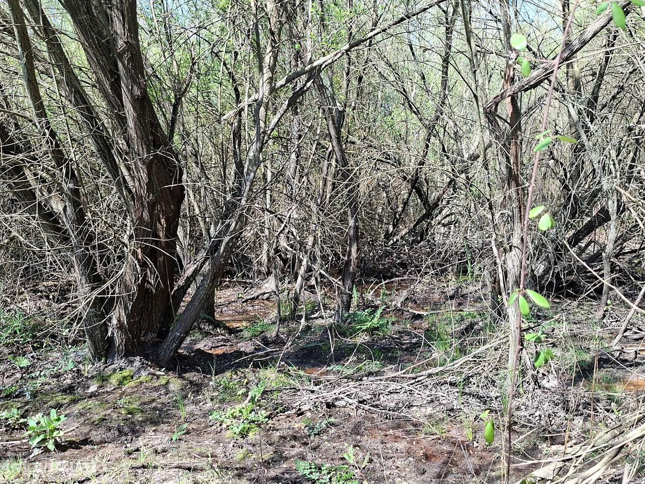 Quinta T5 Venda em Comenda,Gavião - Grande imagem: 5/28