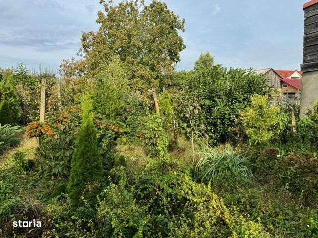 Casa 3 camere,teren 928 mp, Zona Unirii - Imagine principală: 2/10