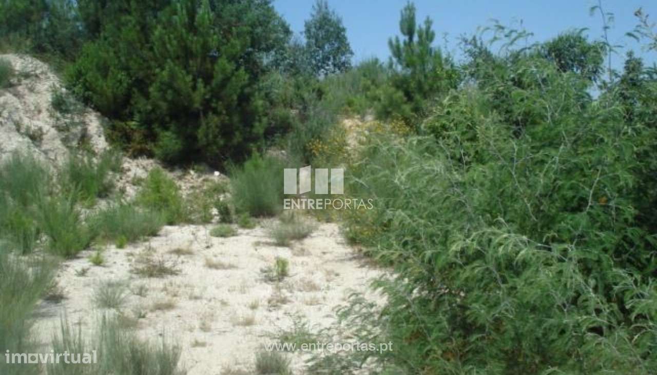 Venda Lote, vista desafogada, Grilo, Baião - Grande imagem: 4/8