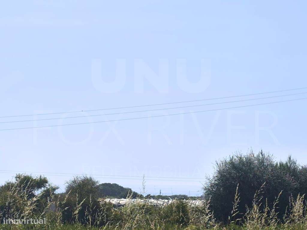 Terreno em Carreço com Vistas Mar - Grande imagem: 5/6