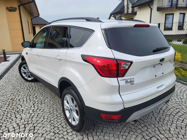 Ford Kuga 1.5 EcoBoost AWD Edition ASS - 19