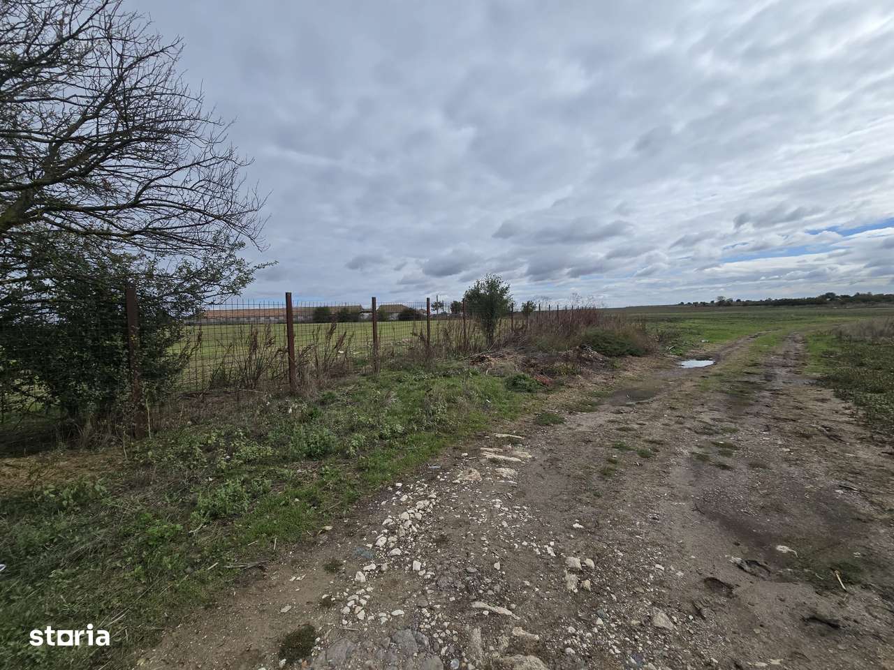 Comuna Amzacea- sat G.Scărișoreanu -Fermă zootehnică ,  teren 5,1ha-9