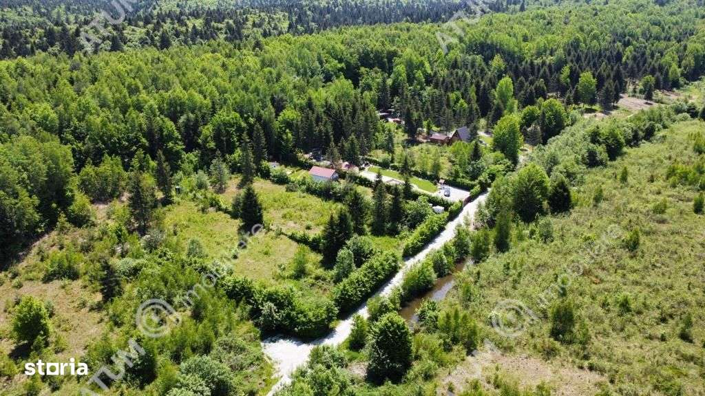 Teren intravilan 2600 mp de vanzare pe Valea Avrigului - Imagine principală: 3/4