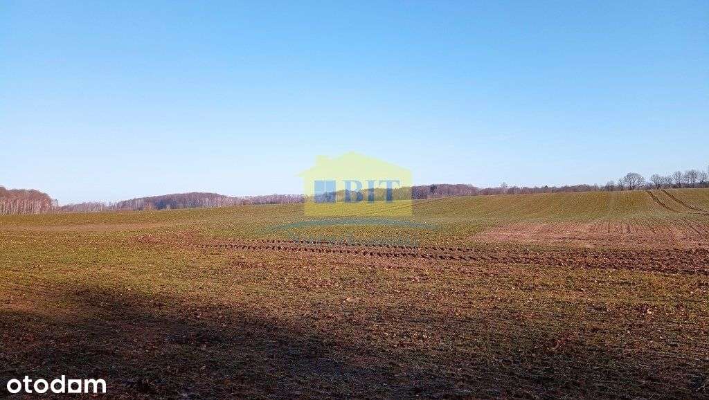 Działka 6066 m2, z dostępem do jeziora Kaleńsko-11