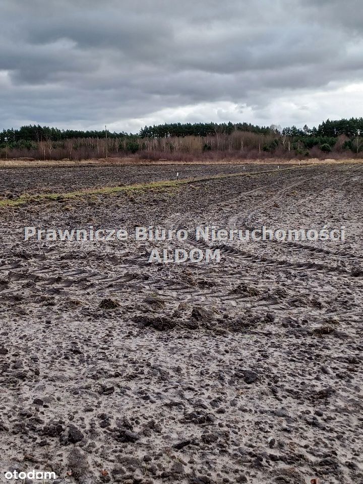 Działka budowlana, Grodziec, gmina Ozimek.