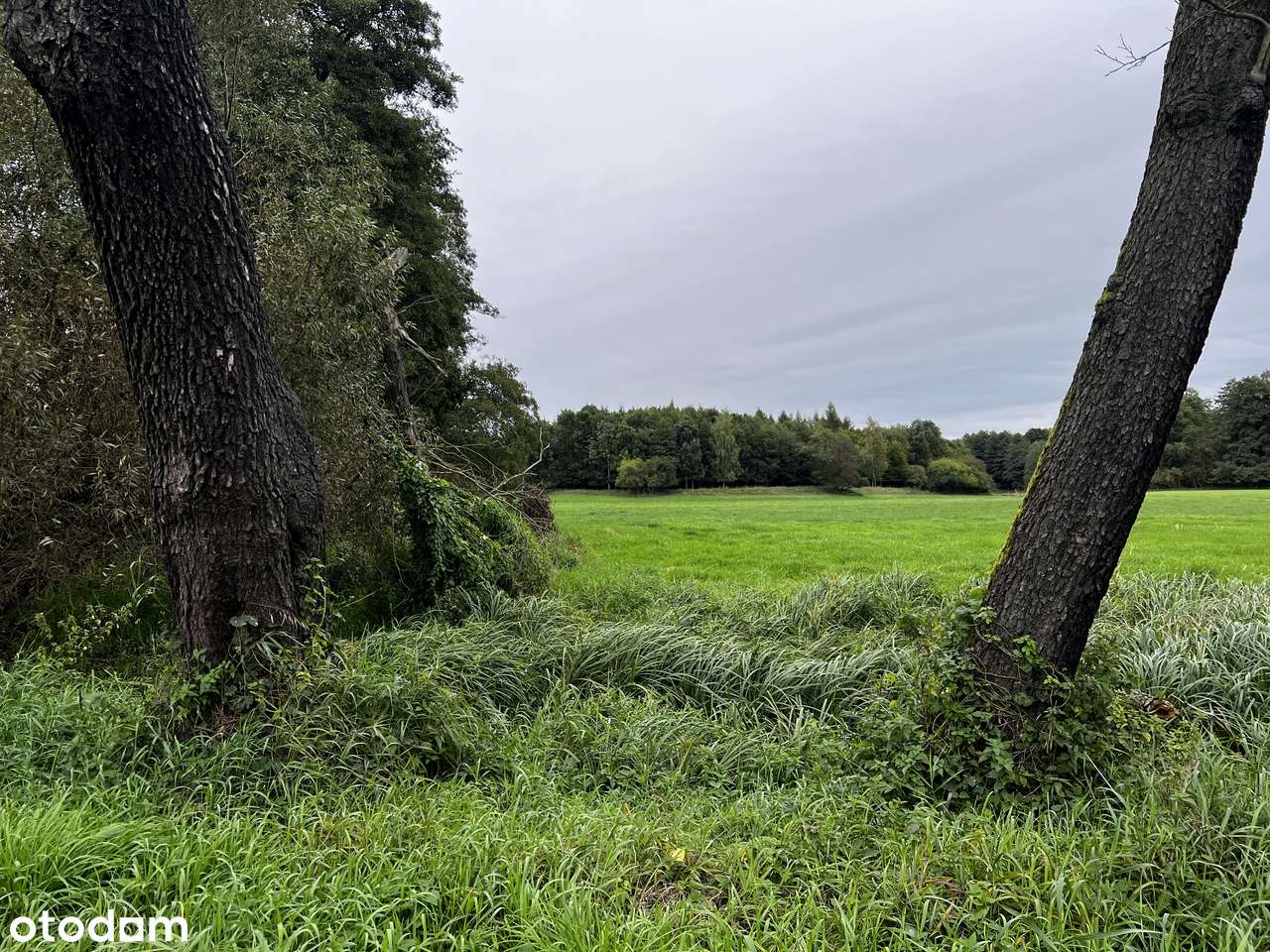 1h grunt pod zabudowę rezydencjonalną Wielkopolski Park Narodowy-15
