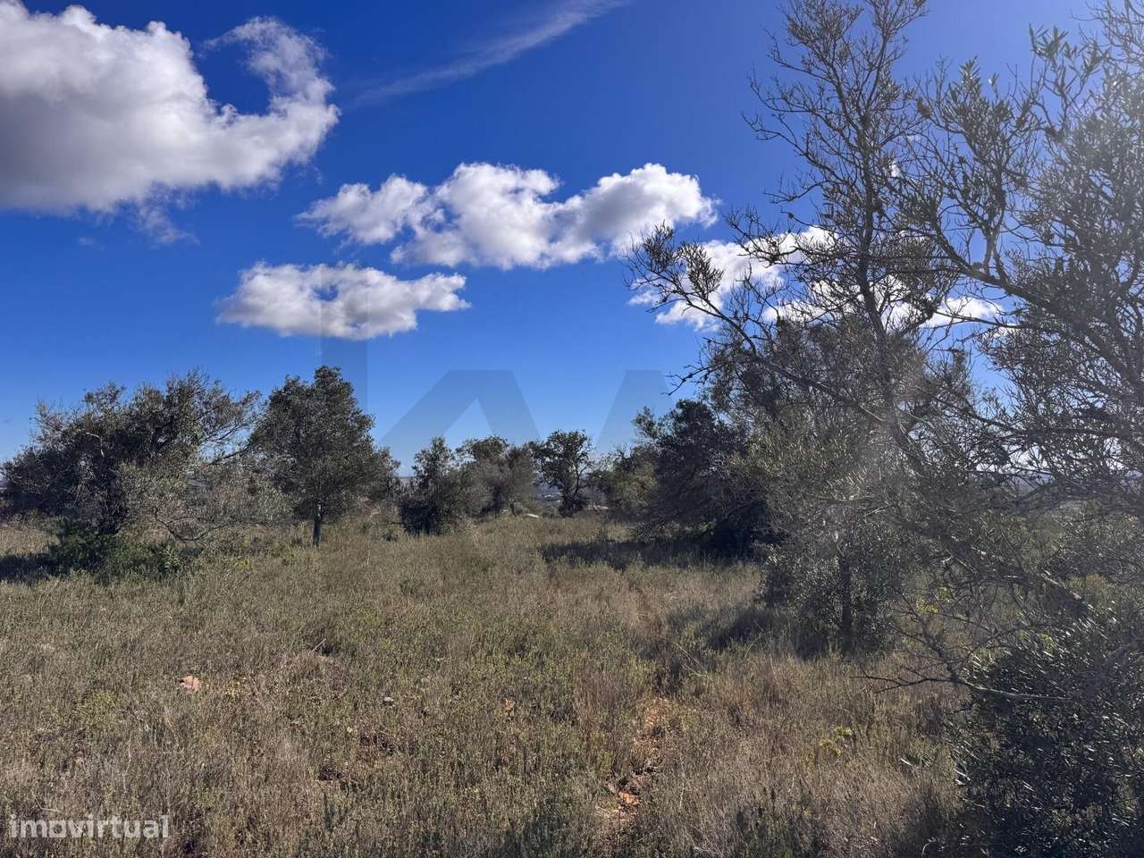 Terreno Rústico no Cerro das Taipas, São Bartolomeu de Messines com 5. - Grande imagem: 4/16