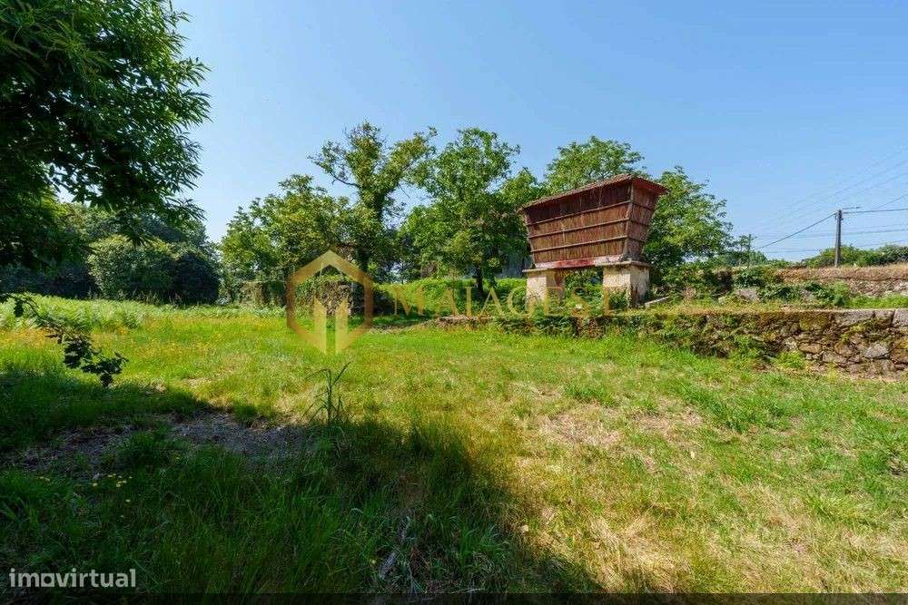 Quinta do Buraco em Vila de Cucujães-11