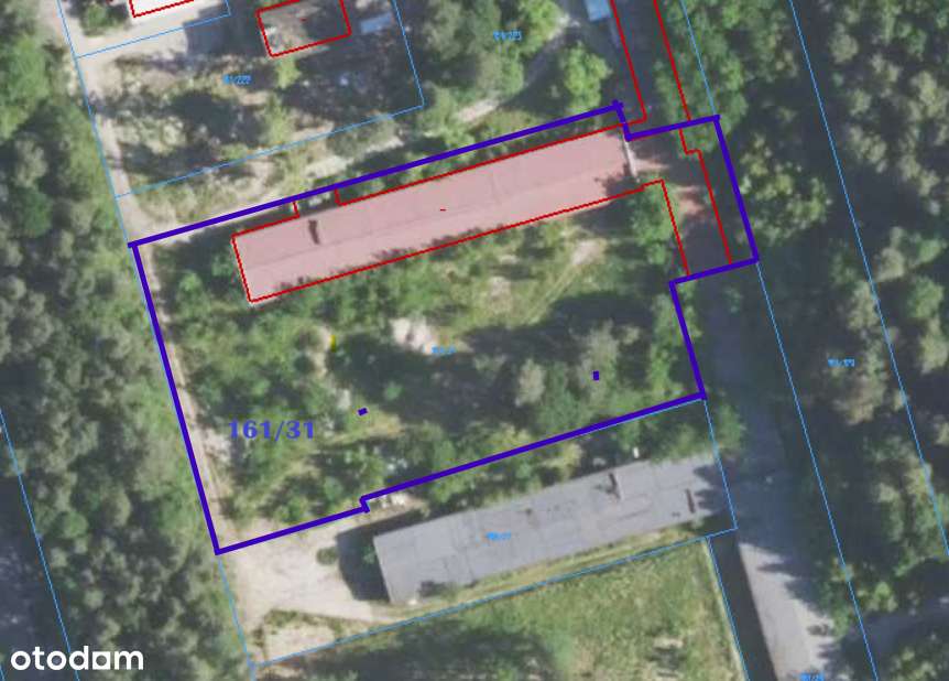 Nieruchomość przemysłowa | Nowa Dęba | 6 339 m² gruntu + 1 289 m² hali - Pełny obrazek: 4/8