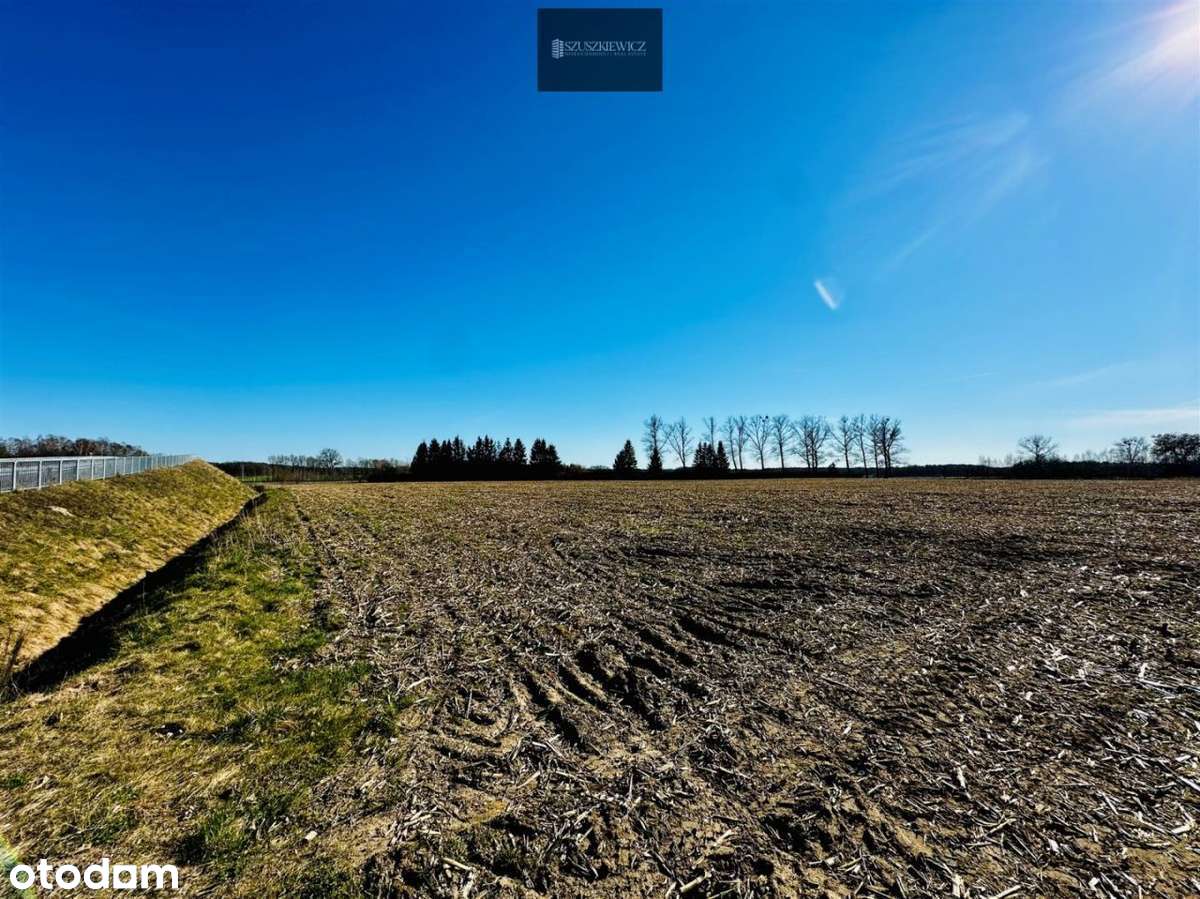 Działka przy drodze S6 w Modlimowie | trasa Szczecin - Kołobrzeg - Pełny obrazek: 5/8