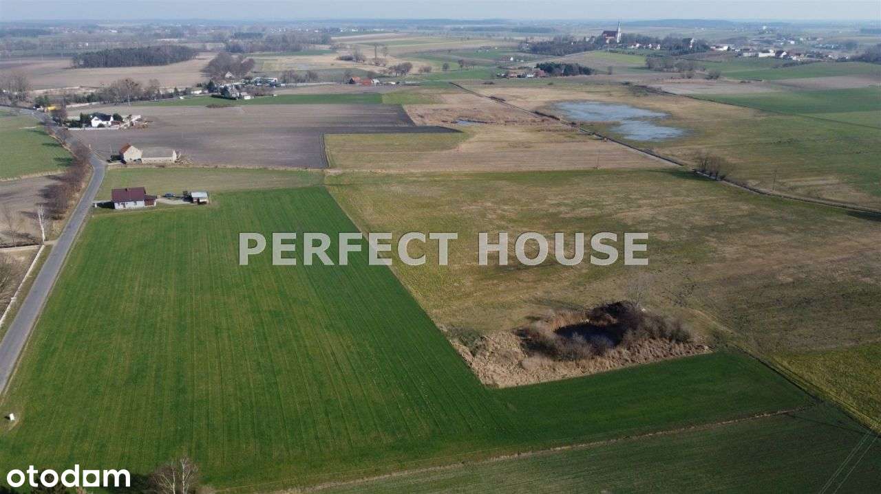 Działki Nowy Dwór, Krzywiń - Pełny obrazek: 4/8