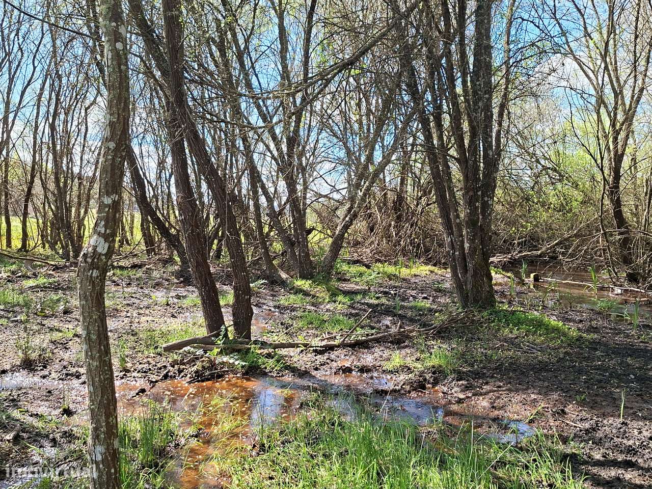 Quinta T5 Venda em Comenda,Gavião-20