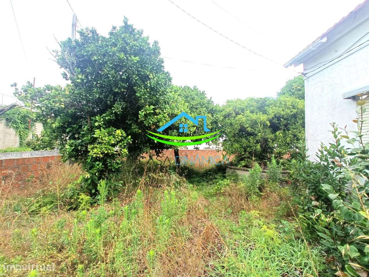 Casa com terreno e dois poços - Grande imagem: 5/48