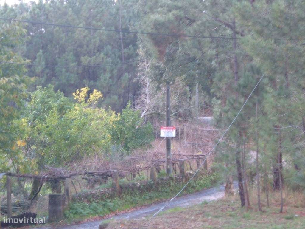 Terreno de construção em Rebordões de Souto - Ponte de Lima. - Grande imagem: 5/5