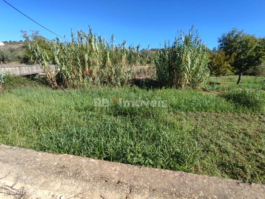 Terreno rústico com 280m² - Pomar, Tomar - Grande imagem: 4/16