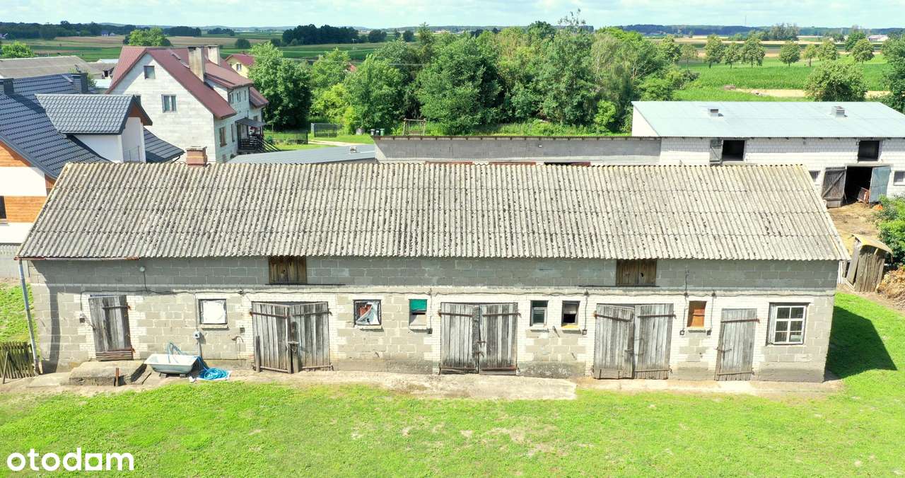 Siedlisko w spokojnej okolicy - Pełny obrazek: 4/10