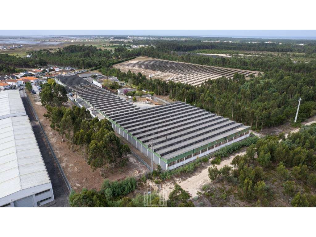Armazém Industrial - Ovar - Grande imagem: 5/14
