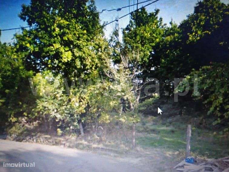 Terreno de construção em Travassós - Grande imagem: 4/4