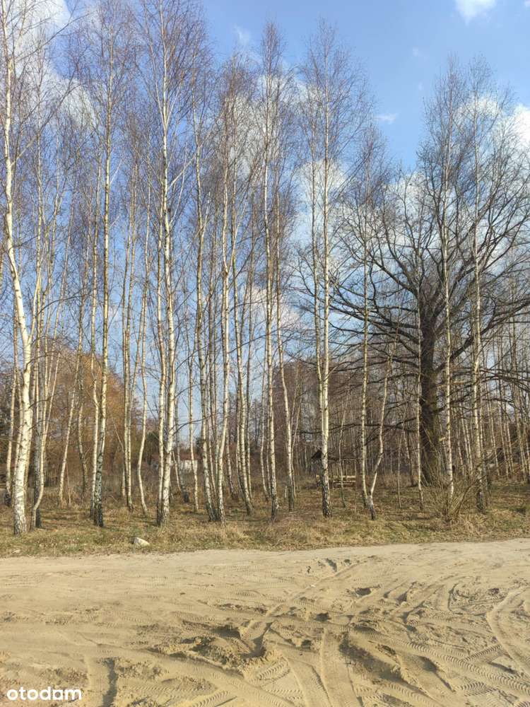 Działka budowlana 1060m2/Aleksandrów Łódzki - Pełny obrazek: 4/5