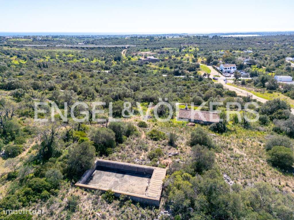 Quinta com Terreno e Ruína perto de Tavira - Grande imagem: 5/24