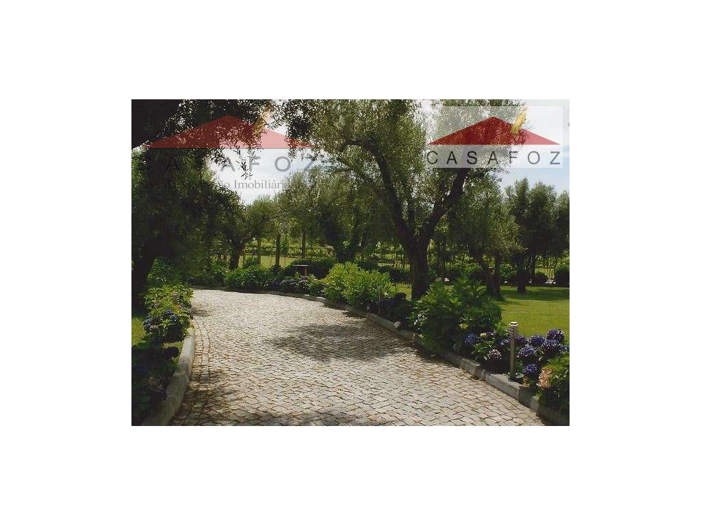 Viana do Castelo - Venda Quinta-19