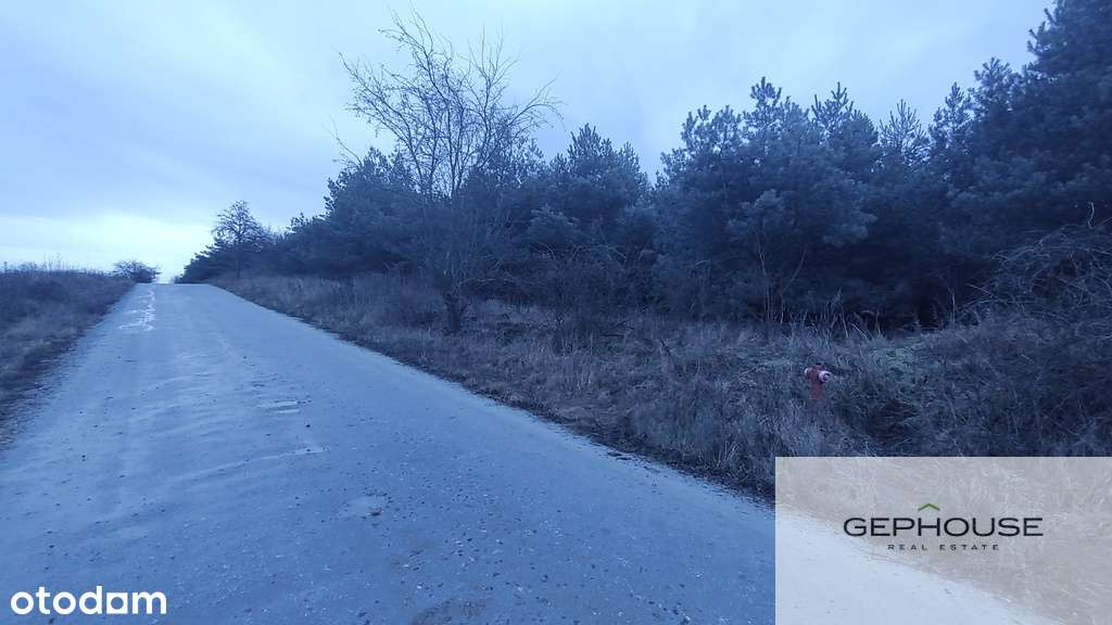 Działka w pobliżu jeziora Mormin - Pełny obrazek: 4/4