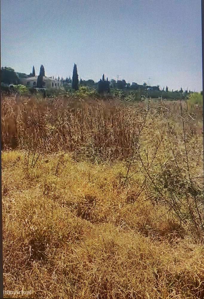 Terreno Rústico no Ludo, Almancil – 8.400 m² Próximo da Quinta do Lago - Grande imagem: 3/7