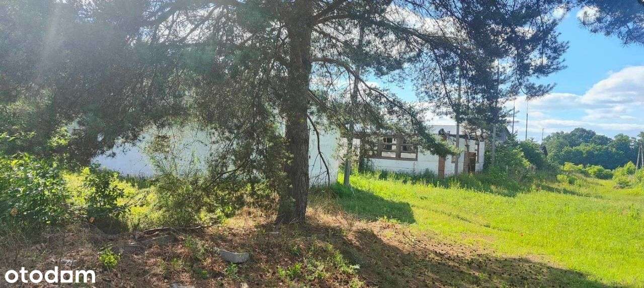 Hale 500m2, okolice Dmosina - Pełny obrazek: 4/5