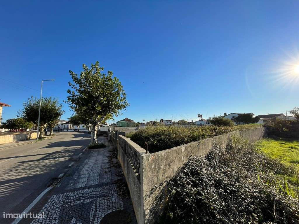 TERRENO - MURTOSA - Grande imagem: 4/5