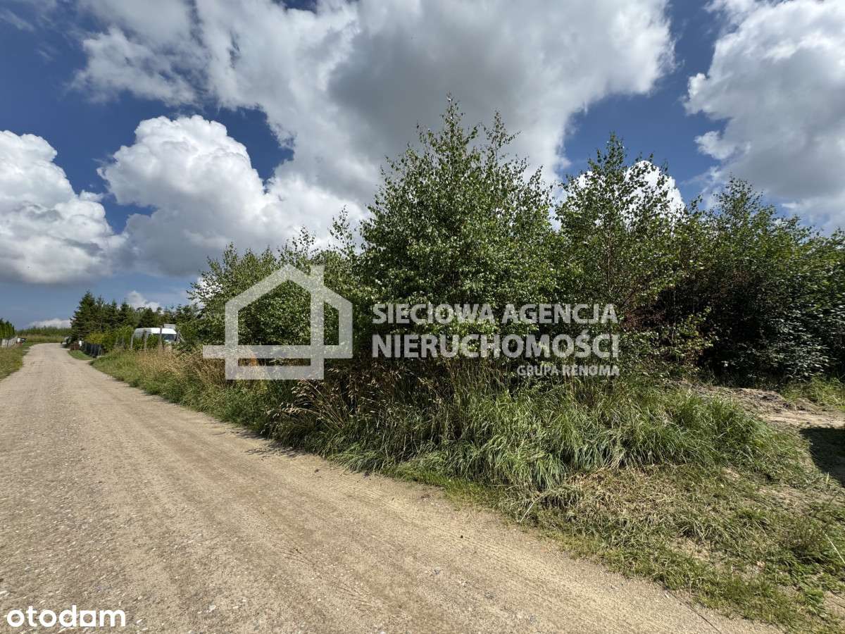 Działka 1260 m2 pod lasem w Rębiechowie - Pełny obrazek: 4/4