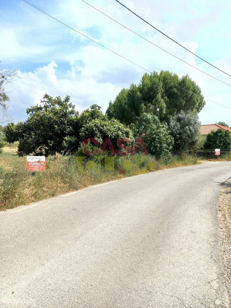 Terreno Rústico  Venda em Assentiz,Torres Novas-9