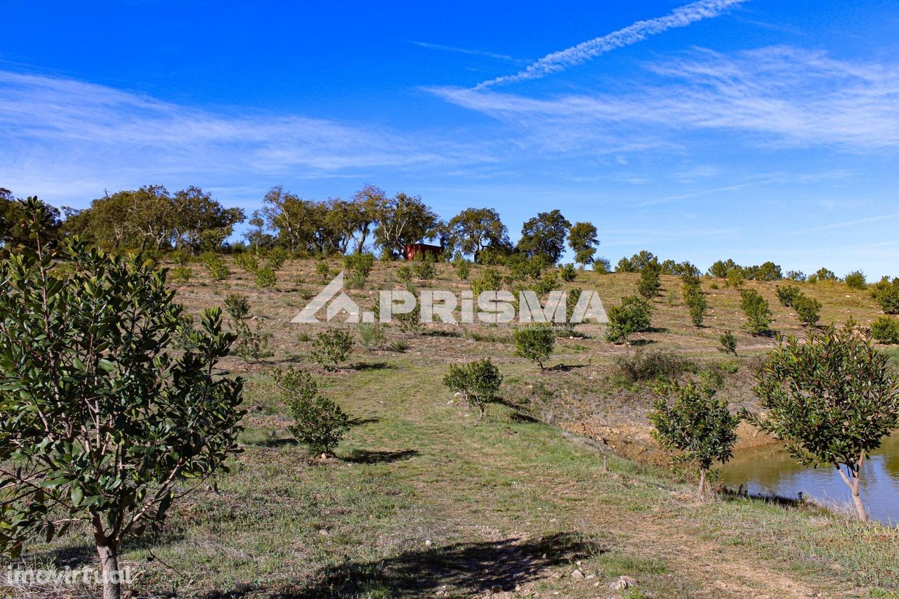 Terreno para Venda em Malpica do Tejo