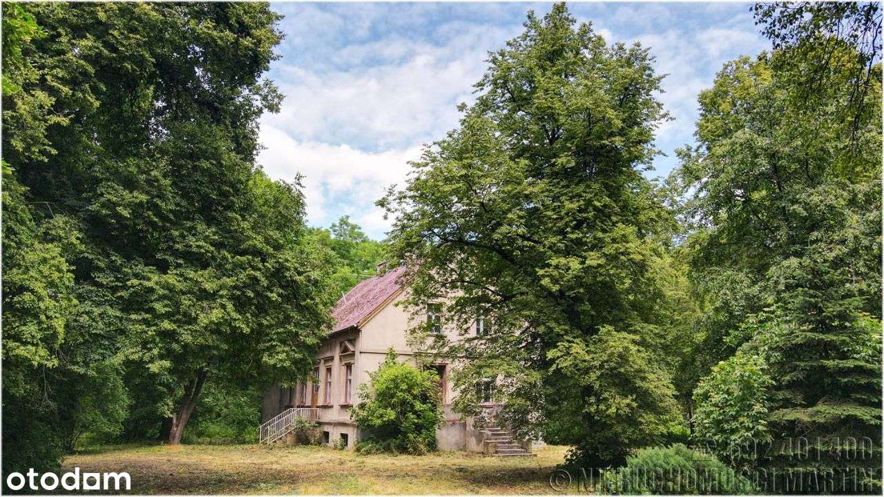 dworek z parkiem 4,1 ha Chlewiska k/Poznania-6