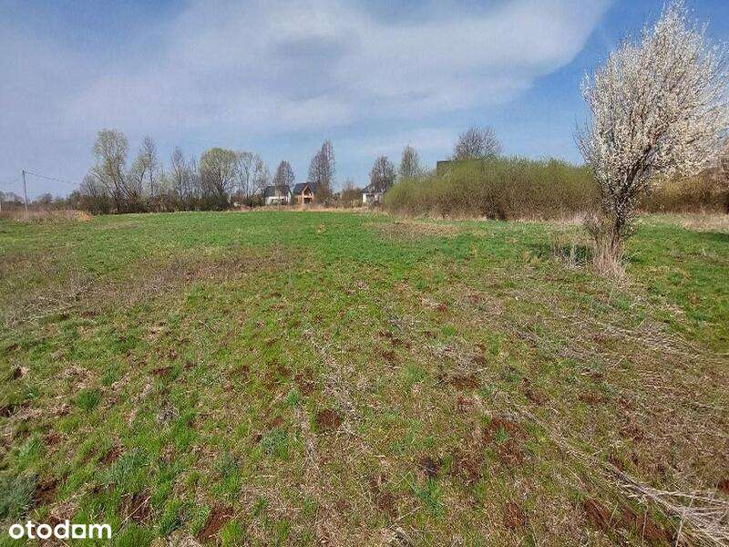 Udział wynoszący 1/3 w prawie własności nieruchomości - Pełny obrazek: 2/7