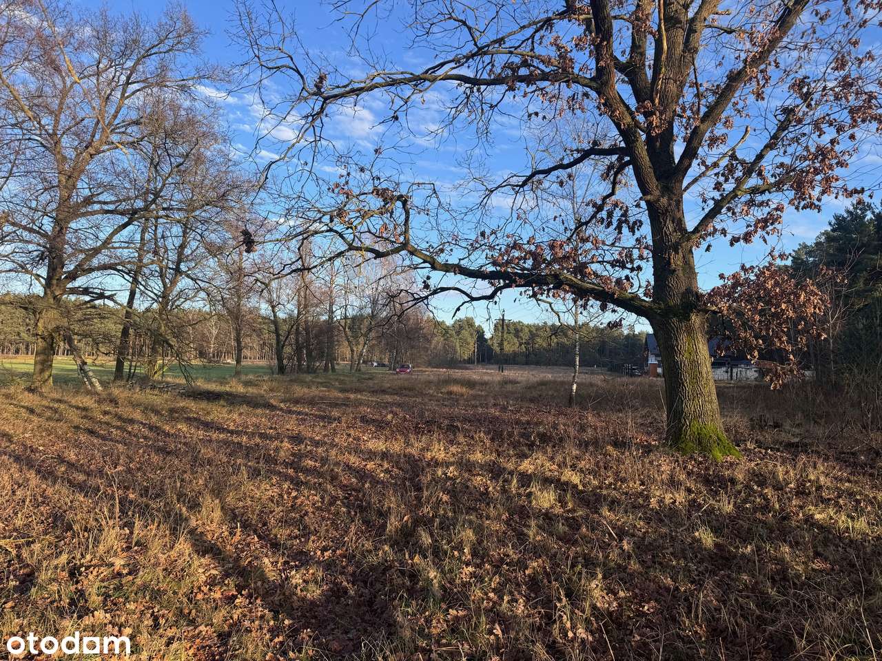 Działka w spokojnej okolicy lasu - Pełny obrazek: 2/5