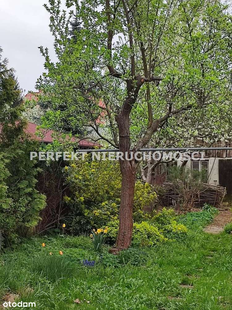 Szeregówka,Osiedle Pisarzy,110m2,5pok,ogród,taras-18